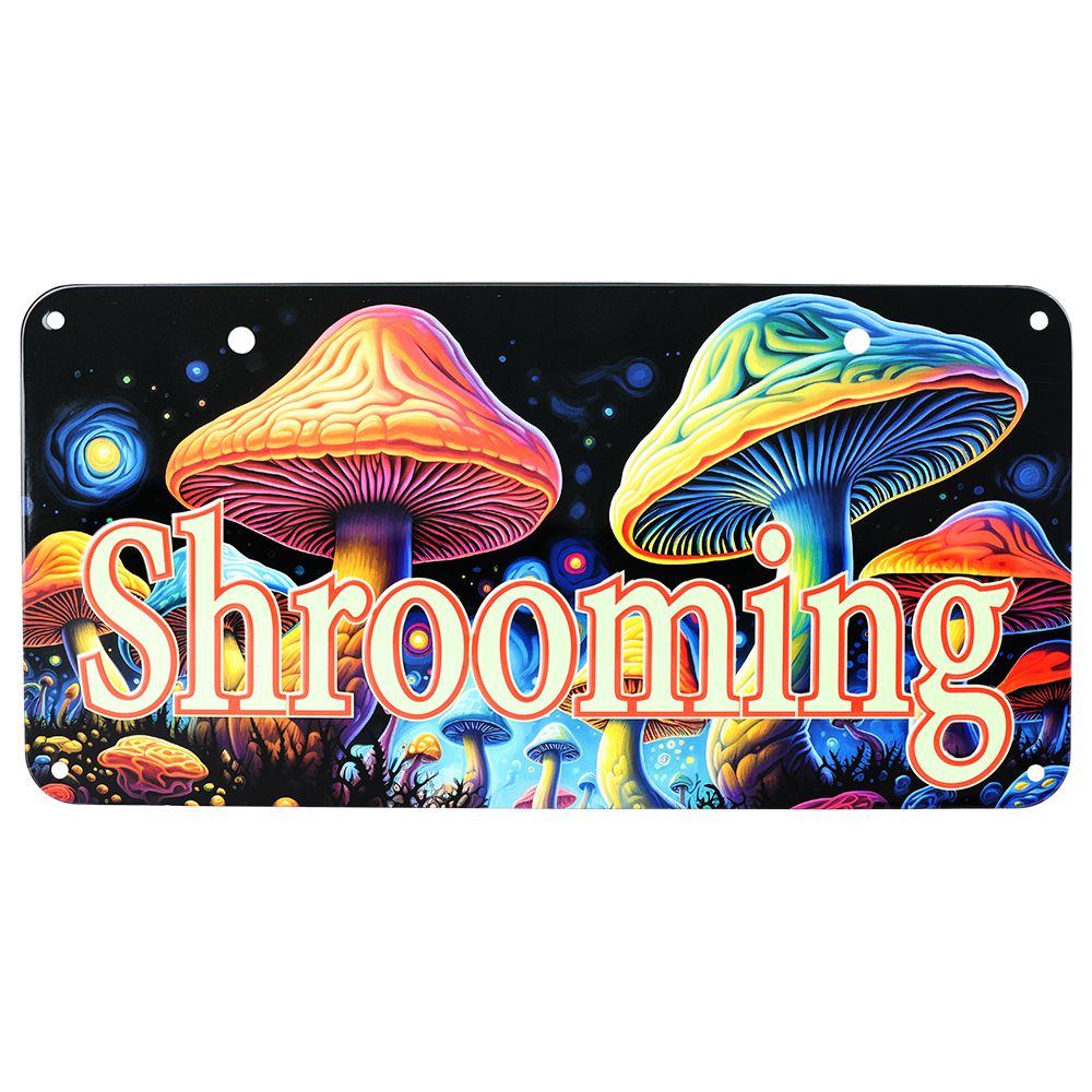 Novelty Embossed Metal License Plate | 12"x6"