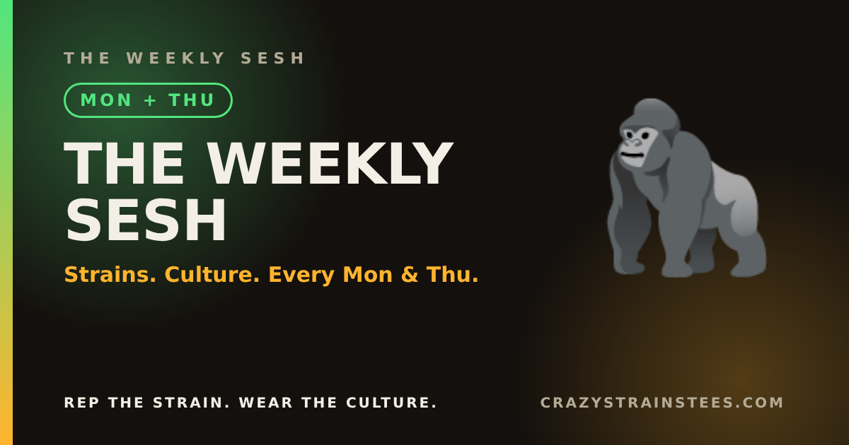 The Weekly Sesh Vol. 6 – Edibles 101: Start Low, Go Slow